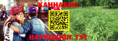 альфа пвп Аргун