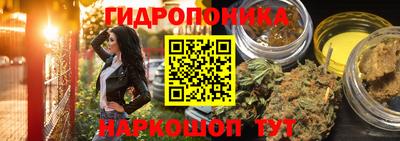соль ск Новокубанск