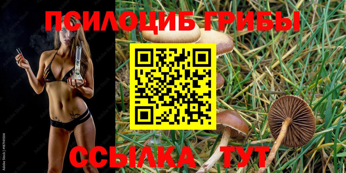 Псилоцибиновые грибы мицелий  Донской 