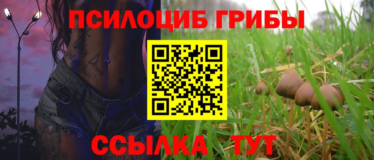 Галлюциногенные грибы Magic Shrooms Донской