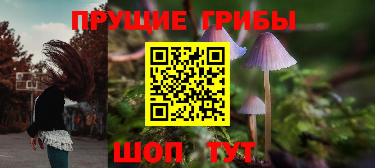 Псилоцибиновые грибы MAGIC MUSHROOMS  Вход с VPN  Донской 