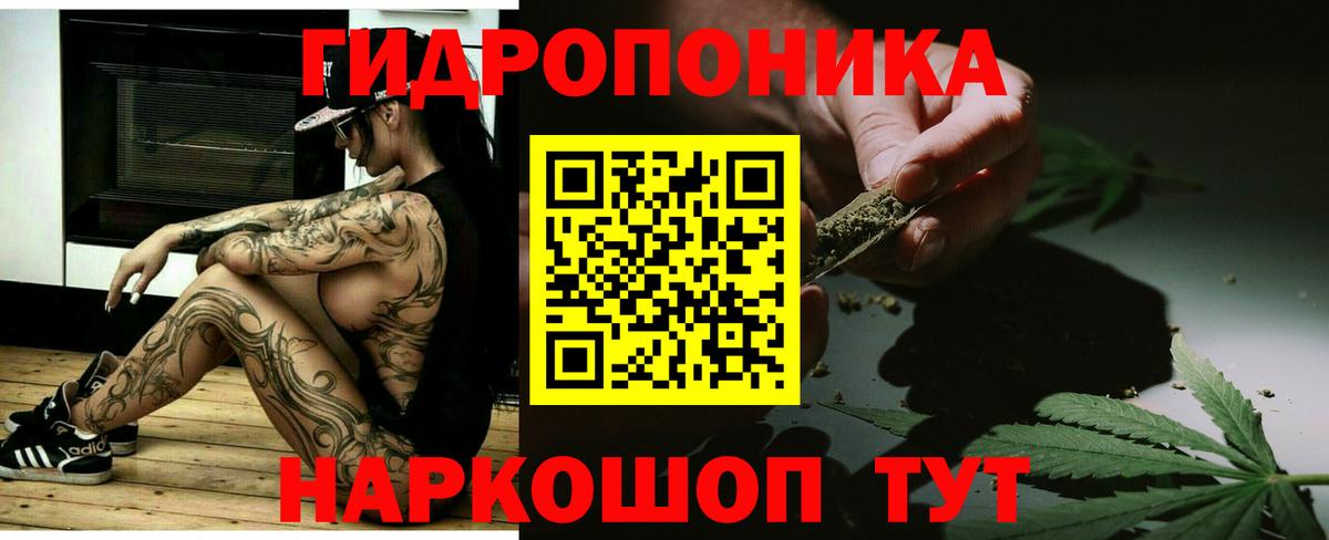 Конопля индика Донской